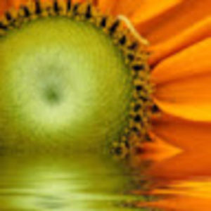 Meet your Posher, Drue